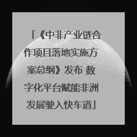 《中非产业链合作项目落地实施方案总纲》发布 数字化平台赋能非洲发展驶入快车道