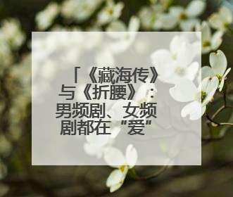 《藏海传》与《折腰》：男频剧、女频剧都在“爱”什么