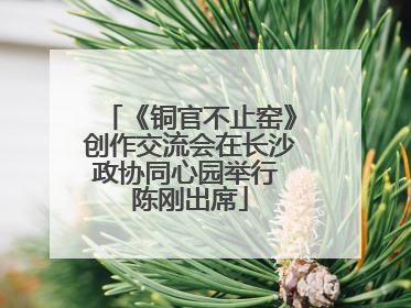 《铜官不止窑》创作交流会在长沙政协同心园举行 陈刚出席