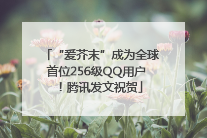 “爱芥末”成为全球首位256级QQ用户！腾讯发文祝贺