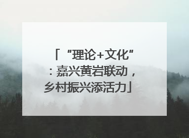 “理论+文化”：嘉兴黄岩联动，乡村振兴添活力