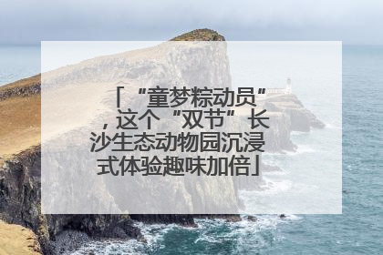 “童梦粽动员”，这个“双节”长沙生态动物园沉浸式体验趣味加倍