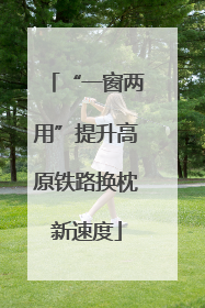 “一窗两用”提升高原铁路换枕新速度