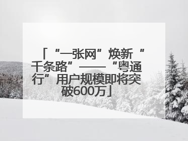“一张网”焕新“千条路”——“粤通行”用户规模即将突破600万