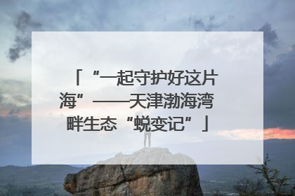 “一起守护好这片海”——天津渤海湾畔生态“蜕变记”