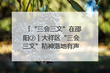 “三会三文”在邵阳②｜大祥区“三会三文”精神落地有声 以实干实绩助力区域高质量发展