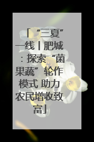 “三夏”一线丨肥城：探索“菌果蔬”轮作模式 助力农民增收致富