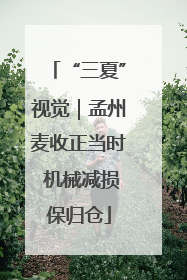 “三夏”视觉｜孟州麦收正当时 机械减损保归仓