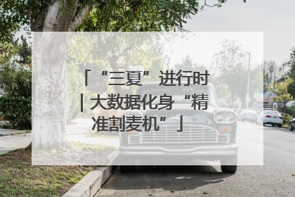 “三夏”进行时｜大数据化身“精准割麦机”