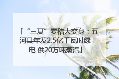 “三夏”麦秸大变身：五河县年发2.5亿千瓦时绿电 供20万吨蒸汽