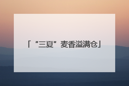 “三夏”麦香溢满仓