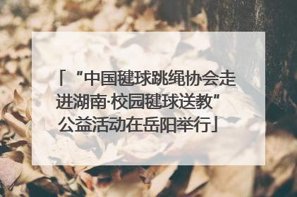 “中国毽球跳绳协会走进湖南·校园毽球送教”公益活动在岳阳举行