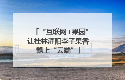 “互联网+果园”让桂林灌阳李子果香飘上“云端”