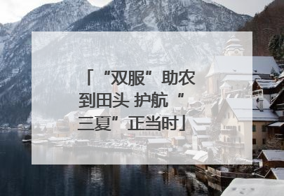 “双服”助农到田头 护航“三夏”正当时