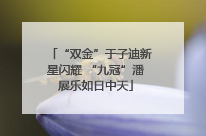 “双金”于子迪新星闪耀 “九冠”潘展乐如日中天