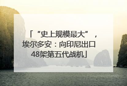 “史上规模最大”，埃尔多安：向印尼出口48架第五代战机