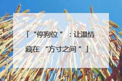 “停狗位 ”：让温情藏在 “方寸之间 ”