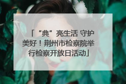 “典”亮生活 守护美好！荆州市检察院举行检察开放日活动