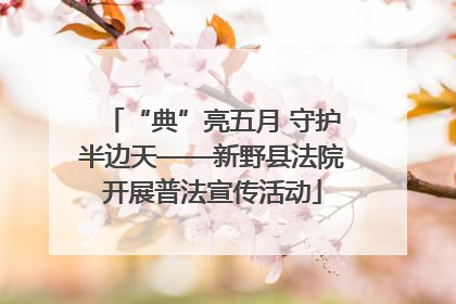 “典”亮五月 守护半边天——新野县法院开展普法宣传活动