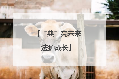 “典”亮未来 法护成长