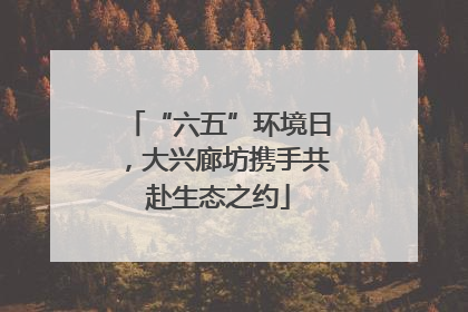 “六五”环境日，大兴廊坊携手共赴生态之约