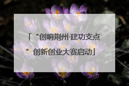 “创响荆州·建功支点”创新创业大赛启动