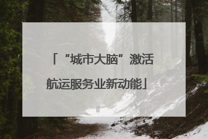 “城市大脑”激活航运服务业新动能