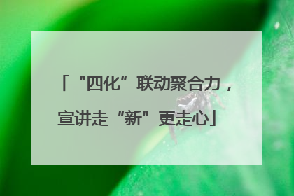 “四化”联动聚合力，宣讲走“新”更走心