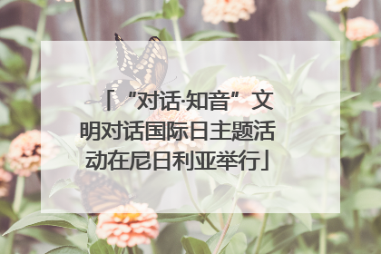 “对话·知音”文明对话国际日主题活动在尼日利亚举行