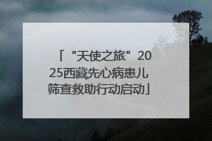 “天使之旅”2025西藏先心病患儿筛查救助行动启动