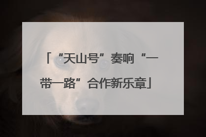 “天山号”奏响“一带一路”合作新乐章