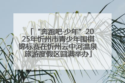 “奔跑吧·少年”2025年忻州市青少年围棋锦标赛在忻州云中河温泉旅游度假区圆满举办