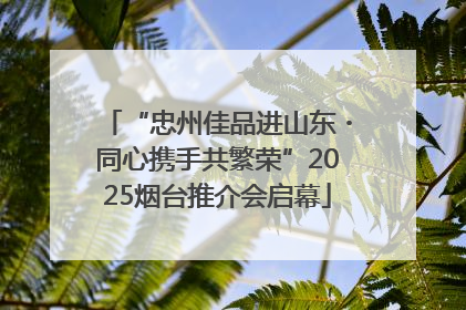 “忠州佳品进山东・同心携手共繁荣”2025烟台推介会启幕