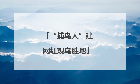 “捕鸟人”建网红观鸟胜地