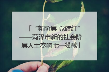 “新阶层 党旗红”——菏泽市新的社会阶层人士奏响七一赞歌