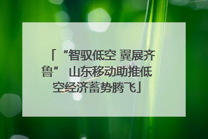 “智驭低空 翼展齐鲁” 山东移动助推低空经济蓄势腾飞
