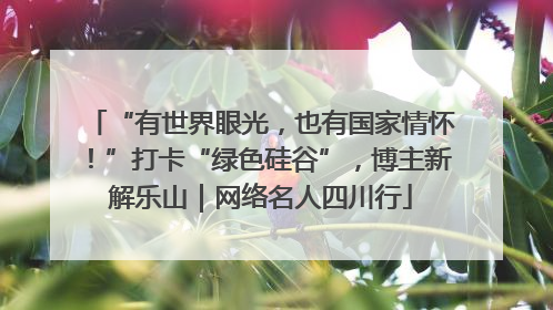 “有世界眼光，也有国家情怀！”打卡“绿色硅谷”，博主新解乐山｜网络名人四川行
