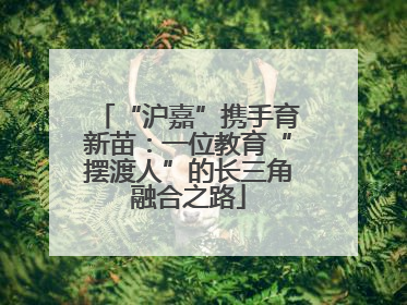 “沪嘉”携手育新苗：一位教育“摆渡人”的长三角融合之路