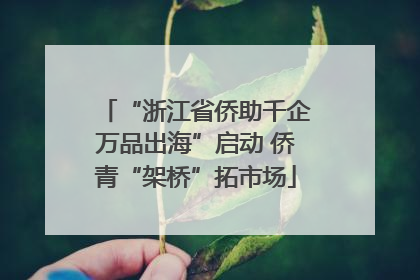 “浙江省侨助千企万品出海”启动 侨青“架桥”拓市场