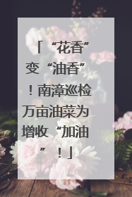 “花香”变“油香”！南漳巡检万亩油菜为增收“加油”！