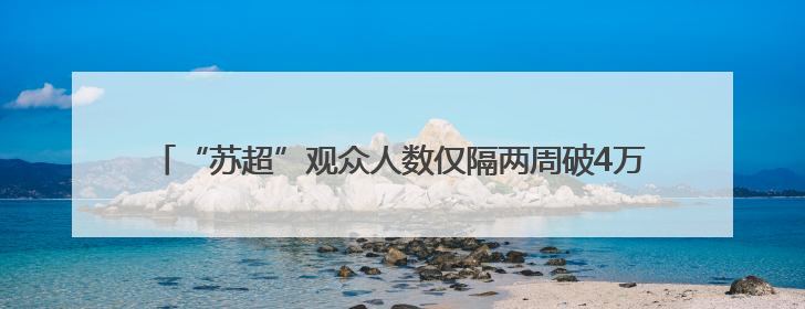 “苏超”观众人数仅隔两周破4万大关，17岁高中生球员独中二元
