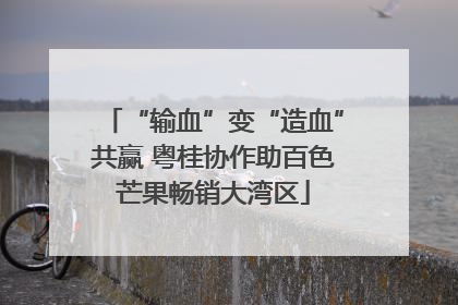 “输血”变“造血”共赢 粤桂协作助百色芒果畅销大湾区