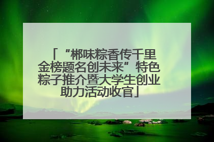 “郴味粽香传千里 金榜题名创未来”特色粽子推介暨大学生创业助力活动收官