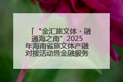 “金汇旅文体・融通海之南”2025年海南省旅文体产融对接活动暨金融服务中心成立仪式举行