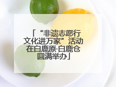 “非遗志愿行 文化进万家”活动在白鹿原·白鹿仓圆满举办