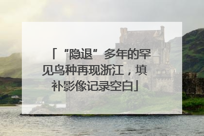 “隐退”多年的罕见鸟种再现浙江，填补影像记录空白