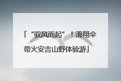 “驭风而起”！滑翔伞带火安吉山野体验游