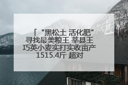 “黑松土 活化肥”寻找最美粮王 莘县王巧英小麦实打实收亩产1515.4斤 超对照田144斤！