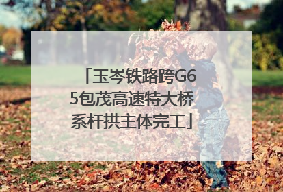 玉岑铁路跨G65包茂高速特大桥系杆拱主体完工