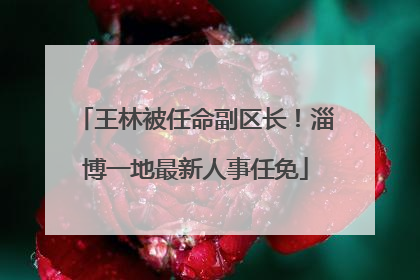 王林被任命副区长！淄博一地最新人事任免